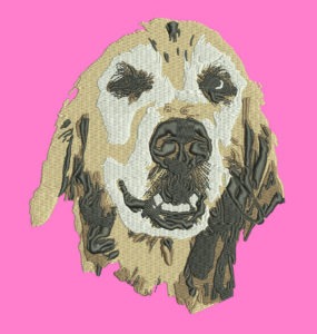 Embroidery Digitizing in Dallas Texas