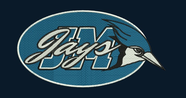 Professional Embroidery Digitizers