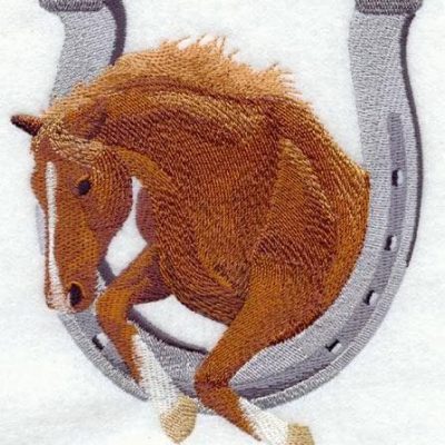 Free Embroidery Digitizing Software