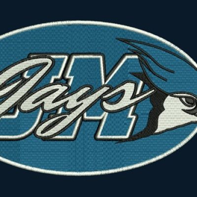 Professional Embroidery Digitizers